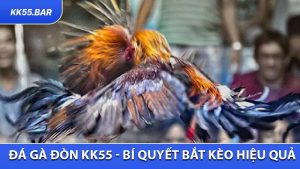 Đá Gà Đòn KK55 - Bí Quyết Bắt Kèo Chính Xác Và Hiệu Quả