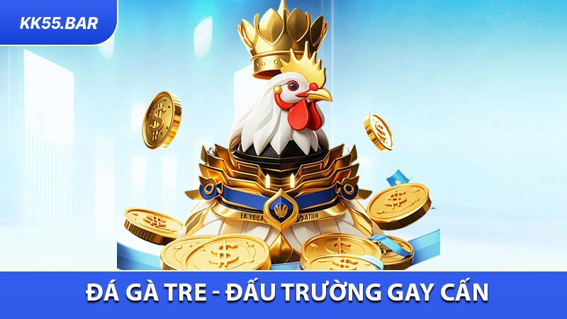 Đá Gà Tre - Đấu Trường Gay Cấn, Cơ Hội Săn Thưởng Lớn