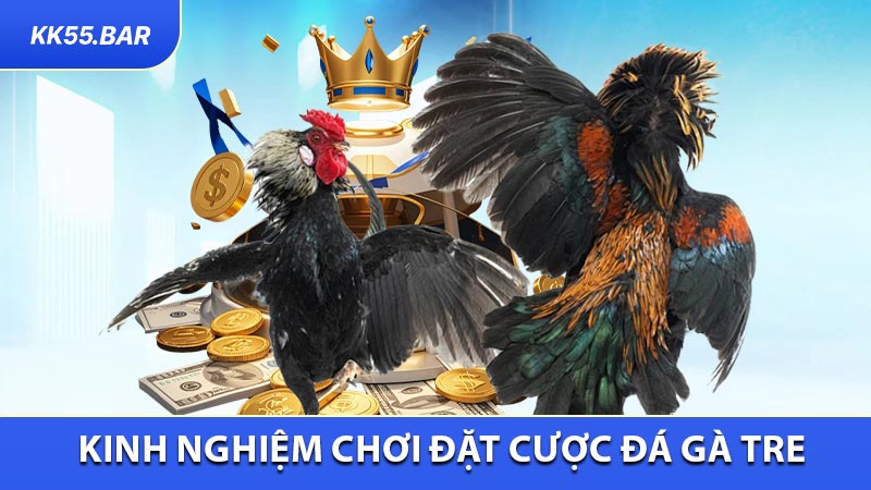 Kinh nghiệm chơi đặt cược đá gà tre hữu hiệu