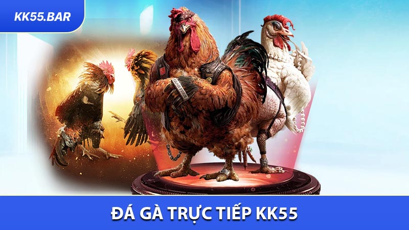 Đá gà trực tiếp KK55