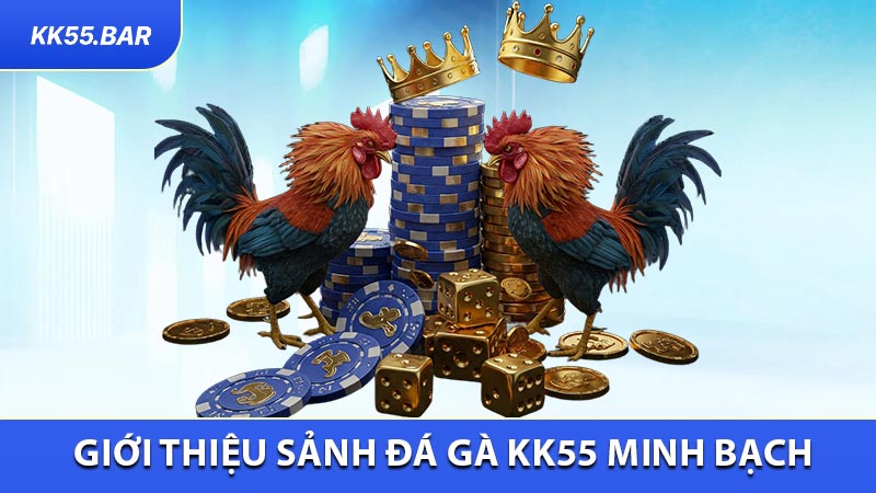 Giới Thiệu Sảnh Đá Gà KK55 Minh Bạch